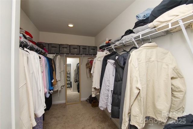 walk in closet with carpet