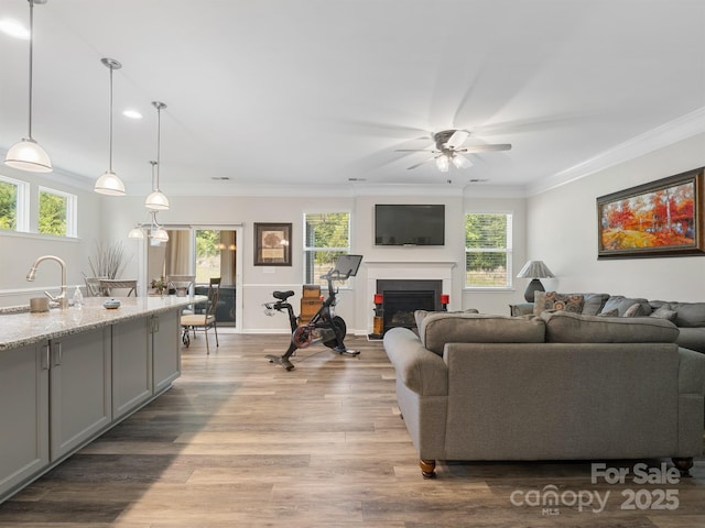 4316 Falls Lake Dr SW, Concord, NC 28025 - living area featuring ornamental molding, ceiling fan, light wood finished floors, plenty of natural light, and a fireplace