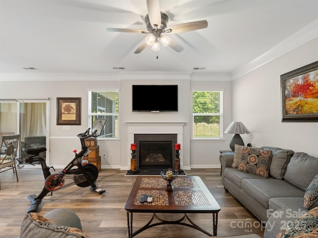 4316 Falls Lake Dr SW, Concord, NC 28025 - living area with plenty of natural light, ornamental molding, ceiling fan, wood finished floors, and baseboards