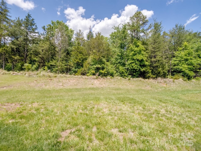 4316 Falls Lake Dr SW, Concord, NC 28025 - view of local wilderness