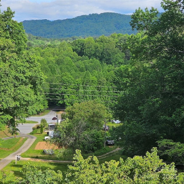 2196 Uphill Ln, Lenoir, NC 28645 - bird's eye view of a forest and a mountain backdrop