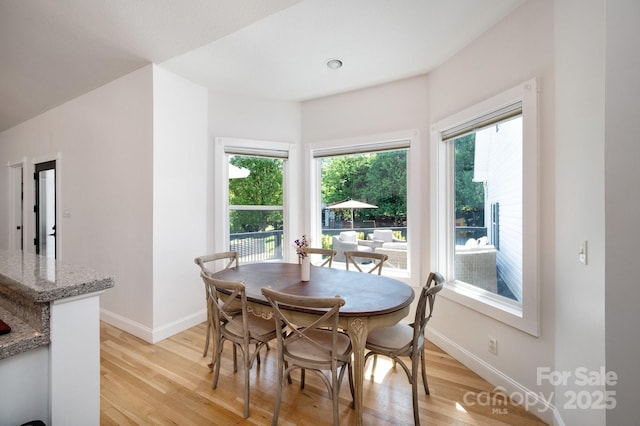 44 White Thorn Dr, Alexander, NC 28701 - dining space featuring baseboards, a wealth of natural light, and light wood-type flooring