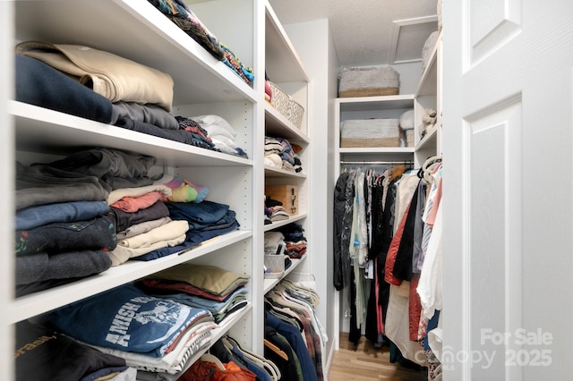 44 White Thorn Dr, Alexander, NC 28701 - spacious closet with attic access and wood finished floors