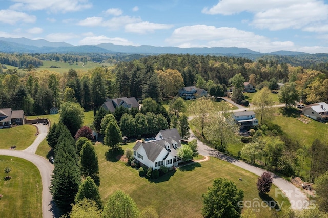44 White Thorn Dr, Alexander, NC 28701 - bird's eye view featuring a view of trees and a mountain view