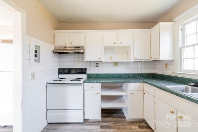 819 W Rankin Ave, Gastonia, NC 28052 - kitchen with a healthy amount of sunlight, white range with electric cooktop, open shelves, and under cabinet range hood