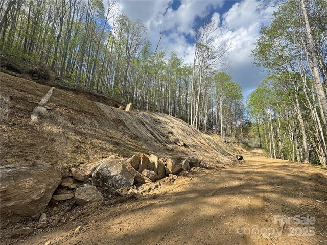 10/11 Thrash Ln, Mars Hill, NC 28754