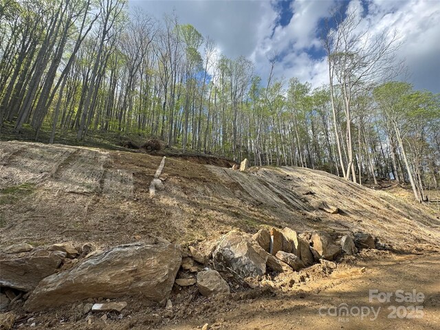 10/11 Thrash Ln, Mars Hill, NC 28754
