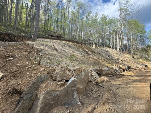 10/11 Thrash Ln, Mars Hill, NC 28754