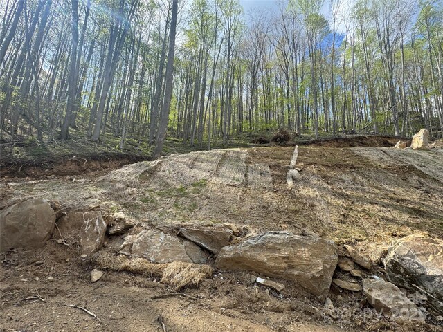 10/11 Thrash Ln, Mars Hill, NC 28754