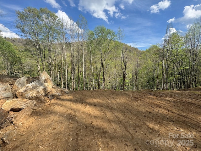 10/11 Thrash Ln, Mars Hill, NC 28754