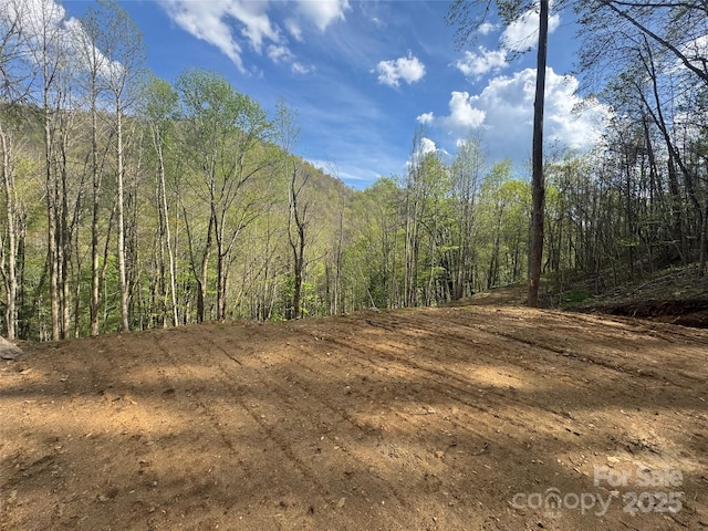 10/11 Thrash Ln, Mars Hill, NC 28754
