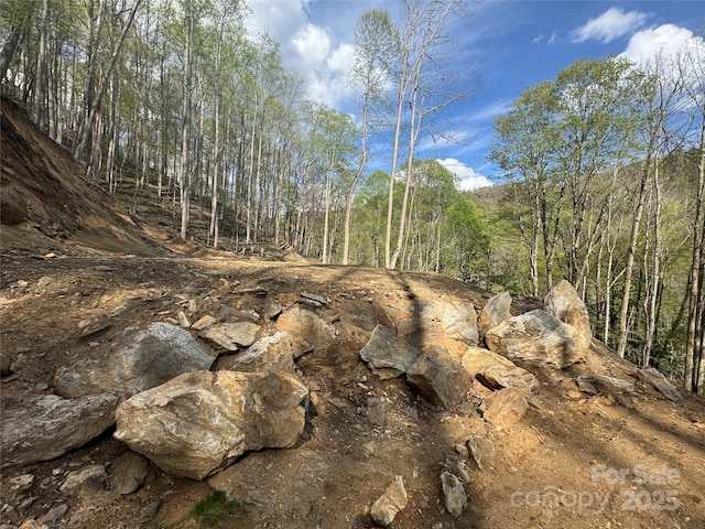 10/11 Thrash Ln, Mars Hill, NC 28754