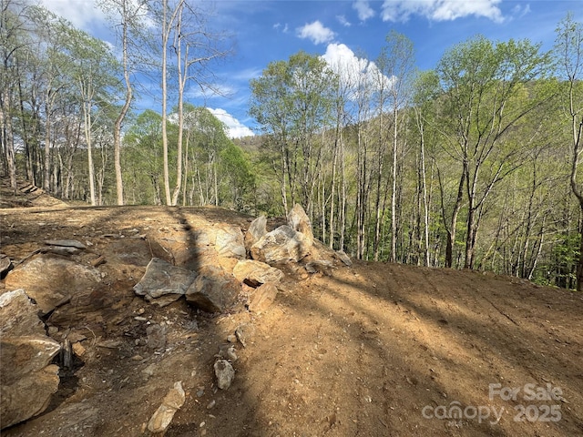 10/11 Thrash Ln, Mars Hill, NC 28754