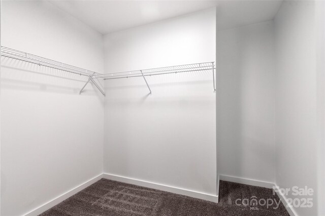 spacious closet with dark carpet