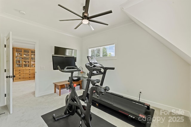 exercise area with light colored carpet, crown molding, baseboards, and ceiling fan