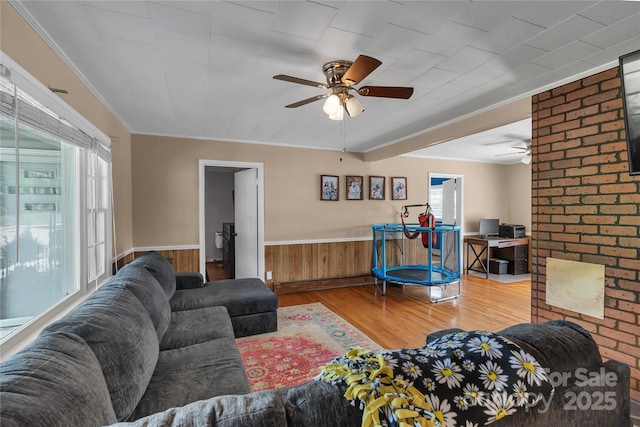 159 Old Home Pl, China Grove, NC 28023 - living room with crown molding, a ceiling fan, wainscoting, and wood finished floors