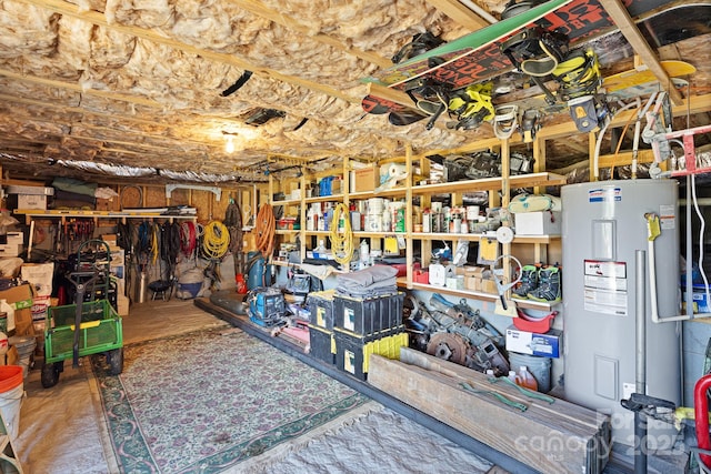 storage featuring electric water heater