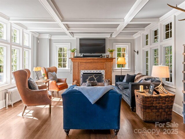 341 Vanderbilt Rd, Asheville, NC 28803 - living room featuring radiator, wood finished floors, a premium fireplace, and coffered ceiling
