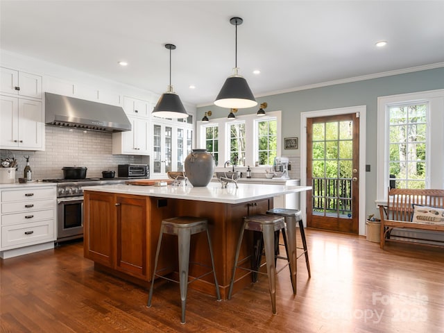 341 Vanderbilt Rd, Asheville, NC 28803 - kitchen with high end stove, light countertops, ventilation hood, and backsplash