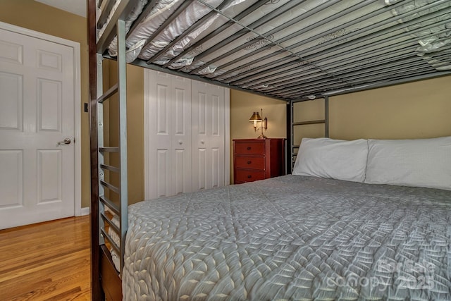 385 N Fork Rd, Black Mountain, NC 28711 - bedroom with a closet and wood finished floors