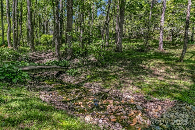 385 N Fork Rd, Black Mountain, NC 28711 - view of local wilderness featuring a wooded view