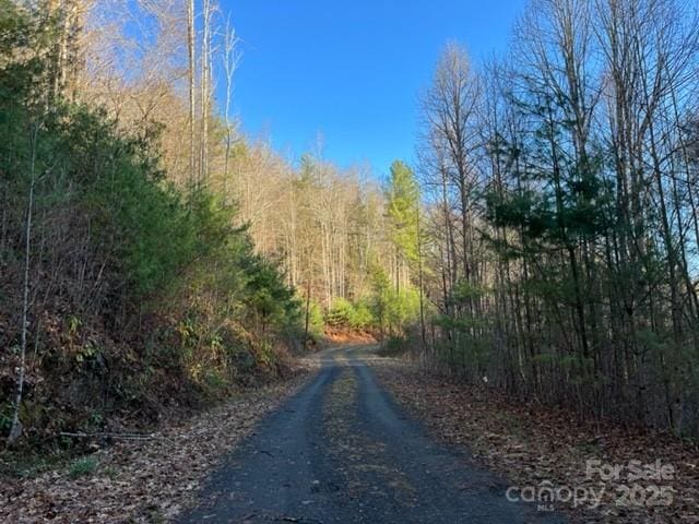 LOT7 Legacy Dr Unit 7, Fleetwood, NC 28626 - view of road with a view of trees
