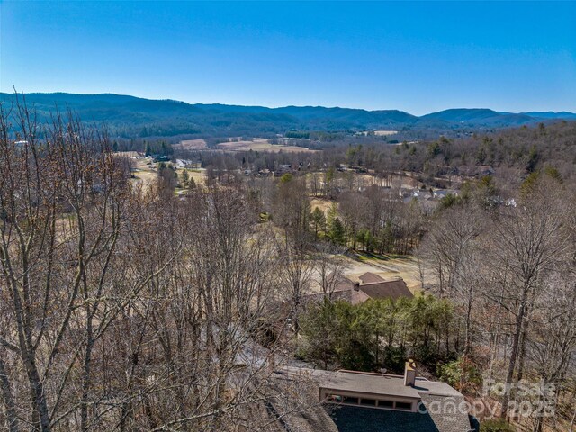 2319 Golf Club Ct, Hendersonville, NC 28739