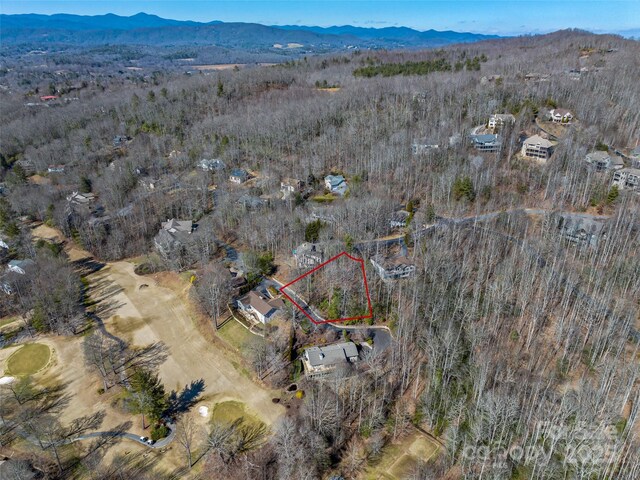 2319 Golf Club Ct, Hendersonville, NC 28739