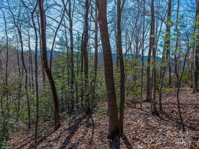 2319 Golf Club Ct, Hendersonville, NC 28739