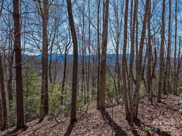 2319 Golf Club Ct, Hendersonville, NC 28739