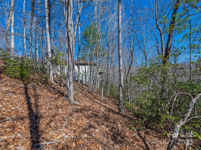 2319 Golf Club Ct, Hendersonville, NC 28739