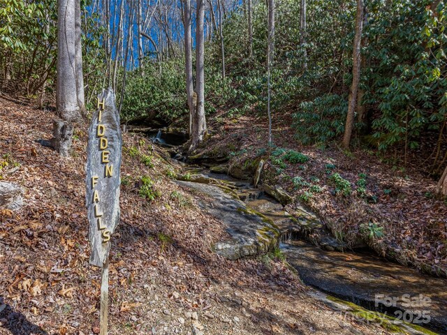 2319 Golf Club Ct, Hendersonville, NC 28739