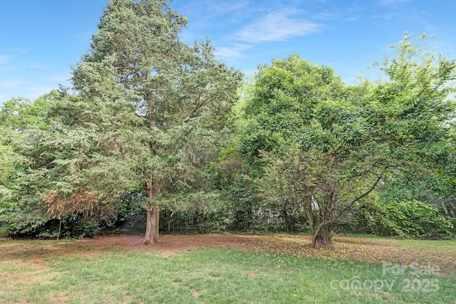1100 Mona Dr, Charlotte, NC 28206 - photo 24