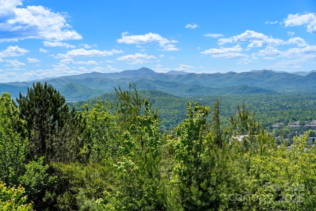117 Distant View Dr, Asheville, NC 28803 - mountain view featuring a forest