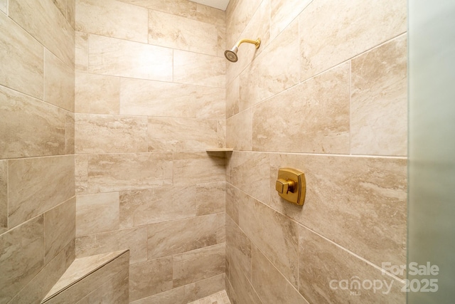117 Distant View Dr, Asheville, NC 28803 - bathroom view of tiled shower