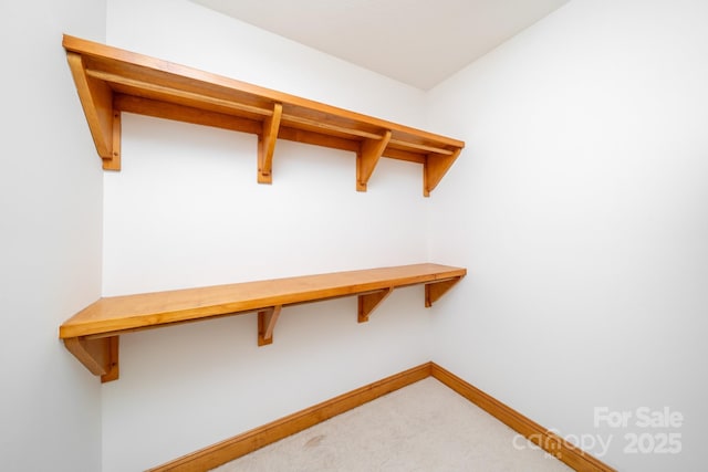 117 Distant View Dr, Asheville, NC 28803 - spacious closet with carpet floors