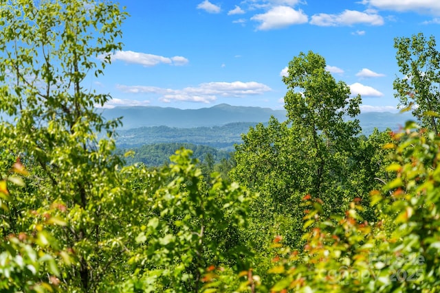 117 Distant View Dr, Asheville, NC 28803 - view of mountain background