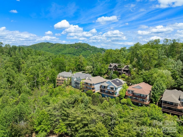 117 Distant View Dr, Asheville, NC 28803 - aerial view of a heavily wooded area