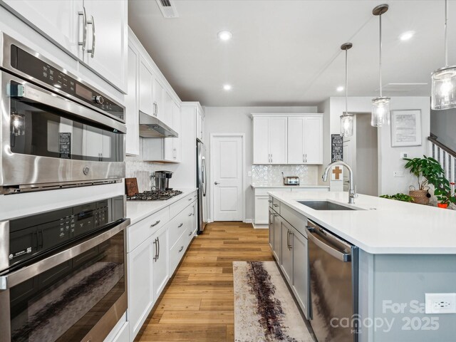 kitchen featuring under cabinet range hood, tasteful backsplash, a sink, light wood finished floors, and stainless steel appliances