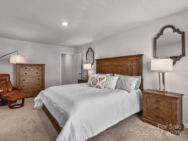 530 Big Sur Loop, Asheville, NC 28806 - carpeted bedroom featuring baseboards
