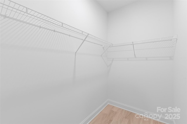 2815 New Pineola Rd, Charlotte, NC 28208 - walk in closet featuring light wood-type flooring
