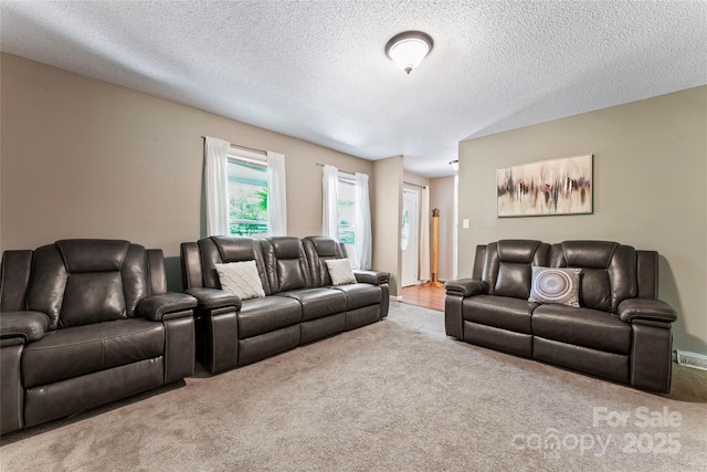 living area with a textured ceiling and carpet