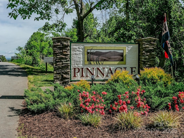 158 Waightstill Dr, Arden, NC 28704 - view of community sign