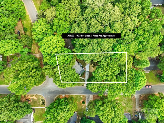 drone / aerial view