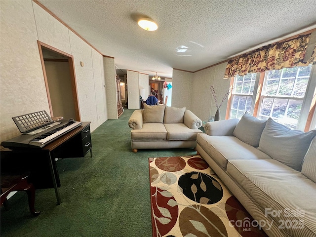 343 Daytona Ln, Saluda, NC 28773 - living area featuring carpet flooring, a textured ceiling, and ornamental molding