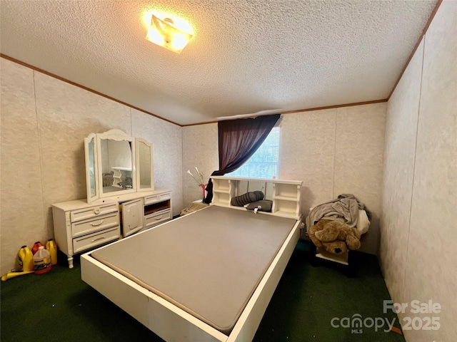343 Daytona Ln, Saluda, NC 28773 - bedroom with crown molding, carpet flooring, and a textured ceiling