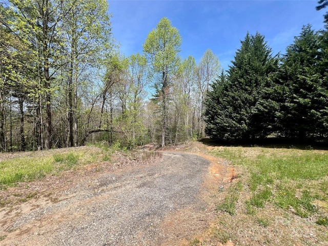 343 Daytona Ln, Saluda, NC 28773 - view of road