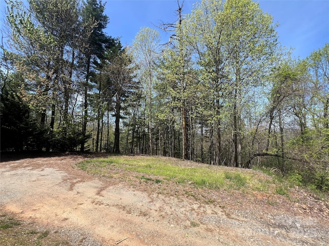 343 Daytona Ln, Saluda, NC 28773 - view of nature featuring a forest view