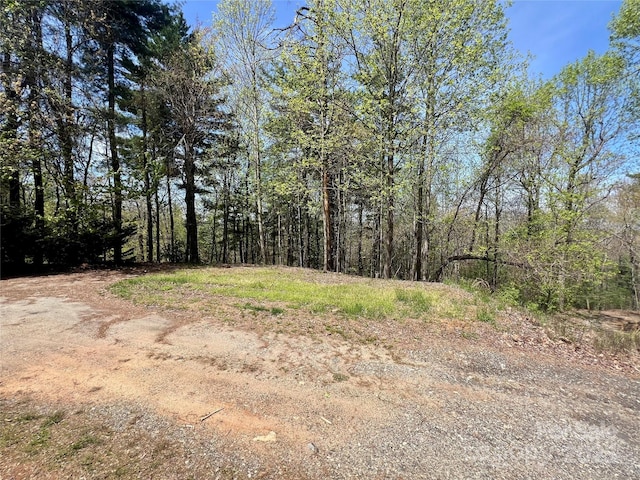 343 Daytona Ln, Saluda, NC 28773 - view of landscape featuring a wooded view