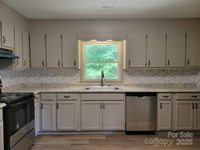 3634 Cartledge Creek Rd, Mount Gilead, NC 27306 - kitchen featuring visible vents, light countertops, under cabinet range hood, a sink, and stainless steel appliances